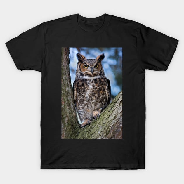 Great Horned Owl T-Shirt by dalekincaid